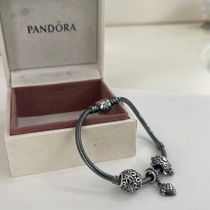 Pandora Charm Bracelet